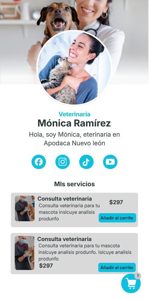 Nombre del servicio - Imagen 2